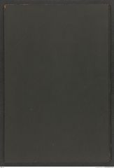 k.k. naturhistorisches Hofmuseum, Protokollbuch Intendanzakten 1901, Seite 84
